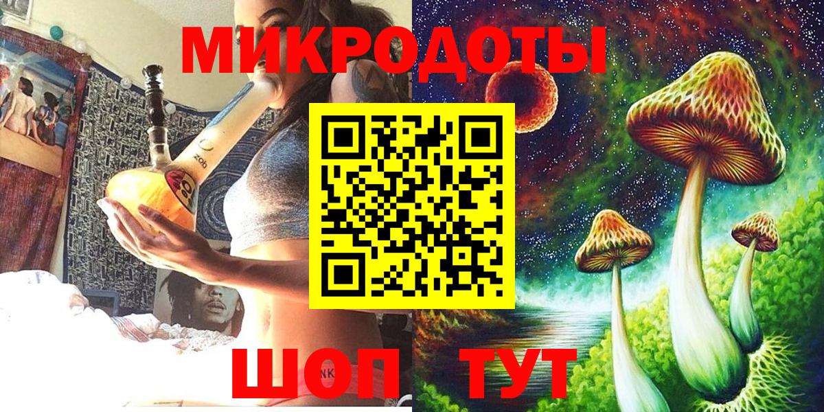 Псилоцибиновые грибы Psilocybine cubensis Тимашёвск